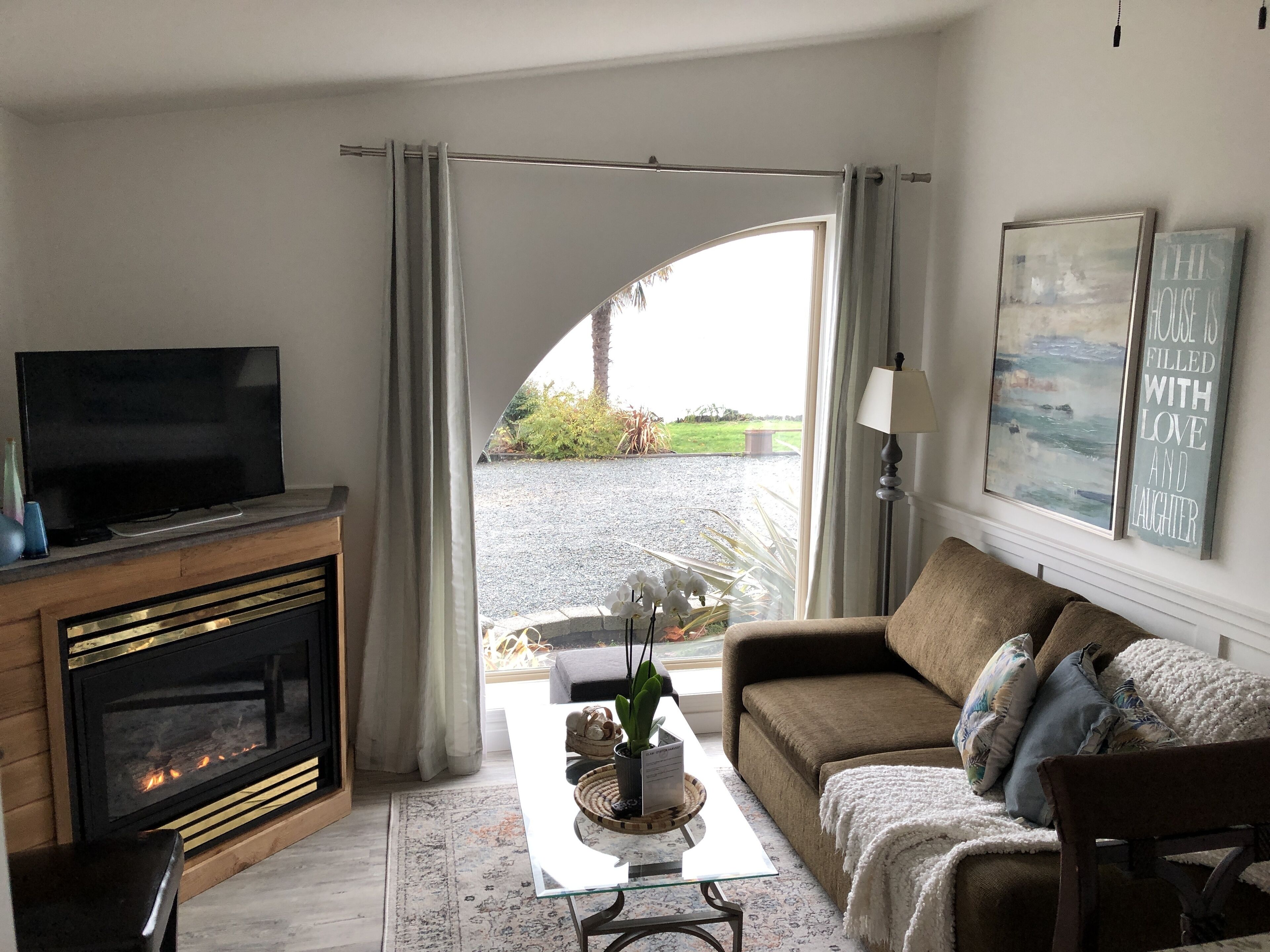 電視、壁爐、DVD 播放機、書籍