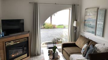 Télévision, cheminée, lecteur de DVD, livres