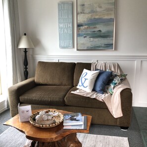 تلفزيون، مدفأة، مشغل دي في دي، كُتُب