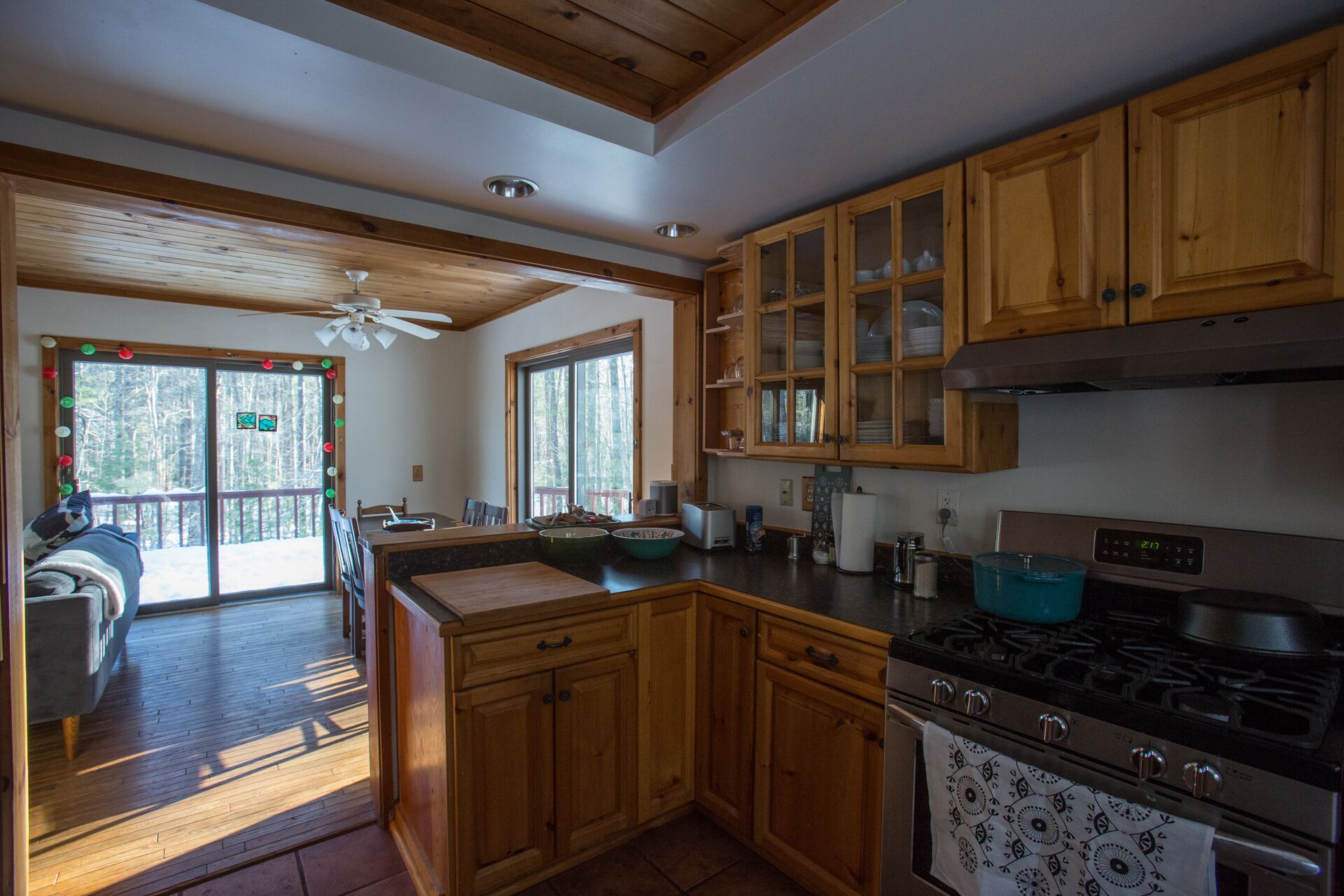 Relaxing House in Catskills Forest Near Pretty Pond - near Woodstock/Phoenicia.