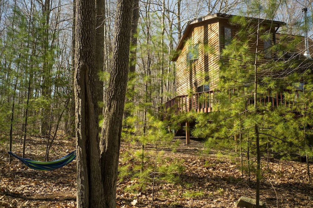 Relaxing House in Catskills Forest Near Pretty Pond - near Woodstock/Phoenicia.