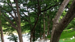 Eine Betonplattform mit Gartenmöbeln, umgeben von üppigem Grün und Bäumen, mit Blick auf ein Gewässer.