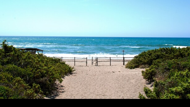 A beach pathway leading to the ocean with a wooden fence and a small shelter. - FABULOUS 4BD HOME IN CAPALBIO W/ PRIVATE POOL & GARDEN, MINUTES TO THE BEACH! (capalbio)