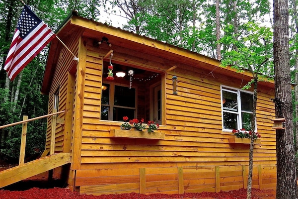 A Cabin in the Woods