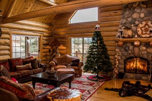 Smart TV, chimenea, reproductor de DVD, libros