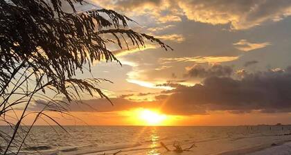 Beachfront condo! Brand new pool đââïž