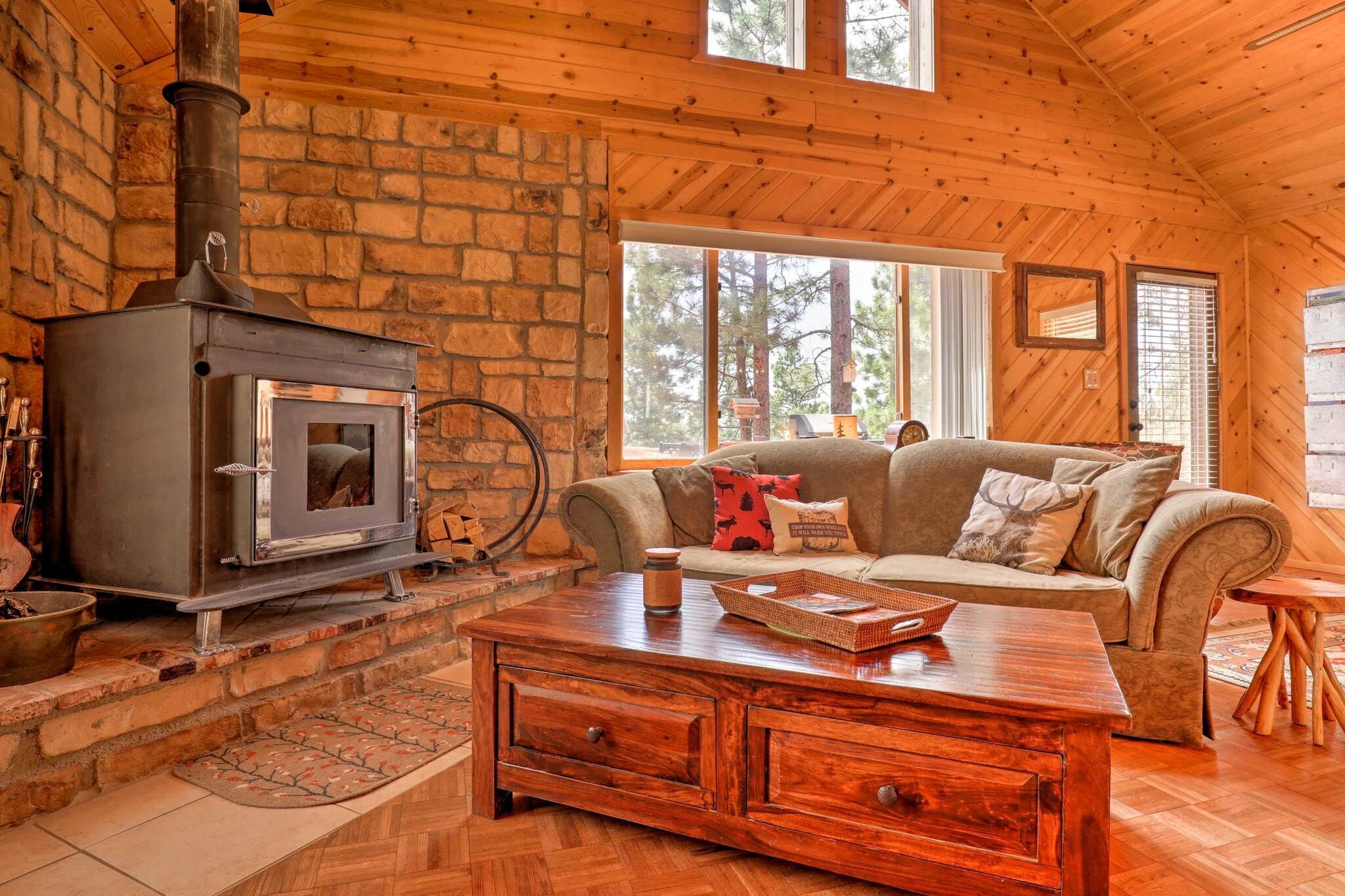 Smart TV, fireplace, DVD player, books