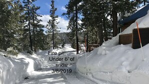 A snow-covered path leading to a cabin with a fire pit under 6 feet of snow, surrounded by trees.