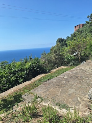 Área da propriedade