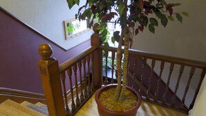 Una scala con ringhiera in legno, una pianta in vaso e un quadro appeso al muro.