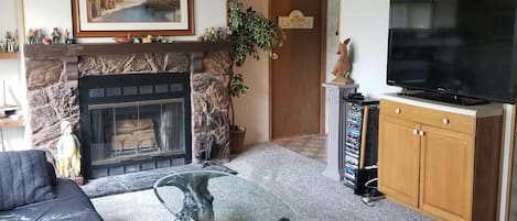 TV connectée, cheminée, jeux vidéo, lecteur de DVD