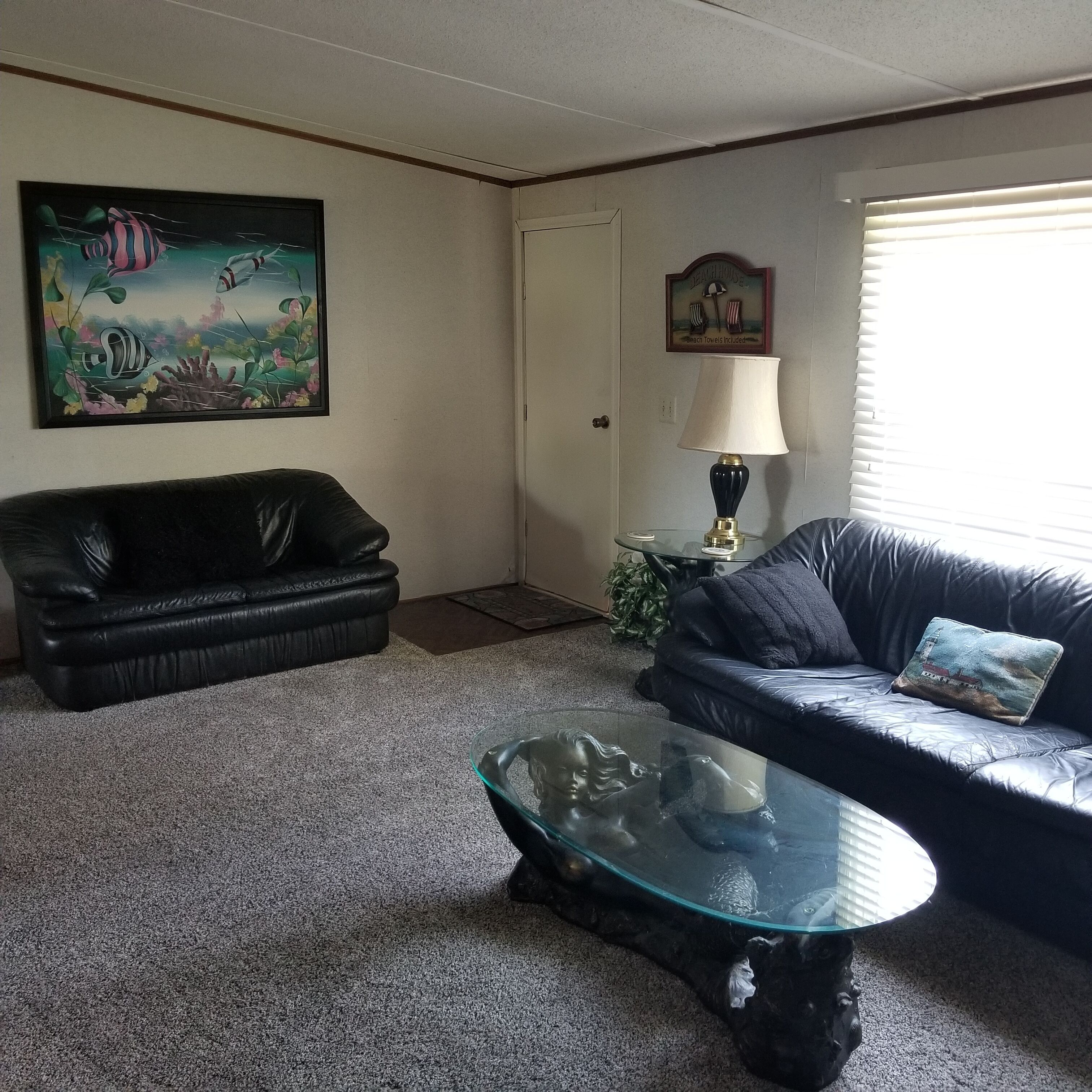 Smart TV, fireplace, video games, DVD player