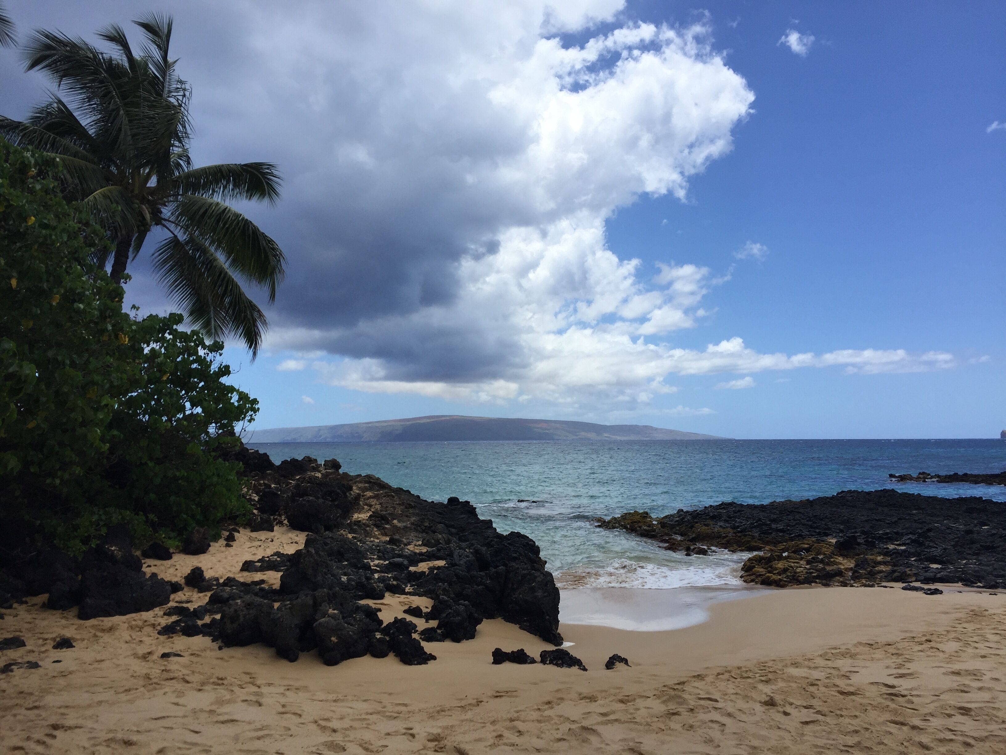 Plage à proximité, chaises longues, serviettes de plage