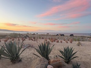 Na praia, espreguiçadeiras, toalhas de praia 