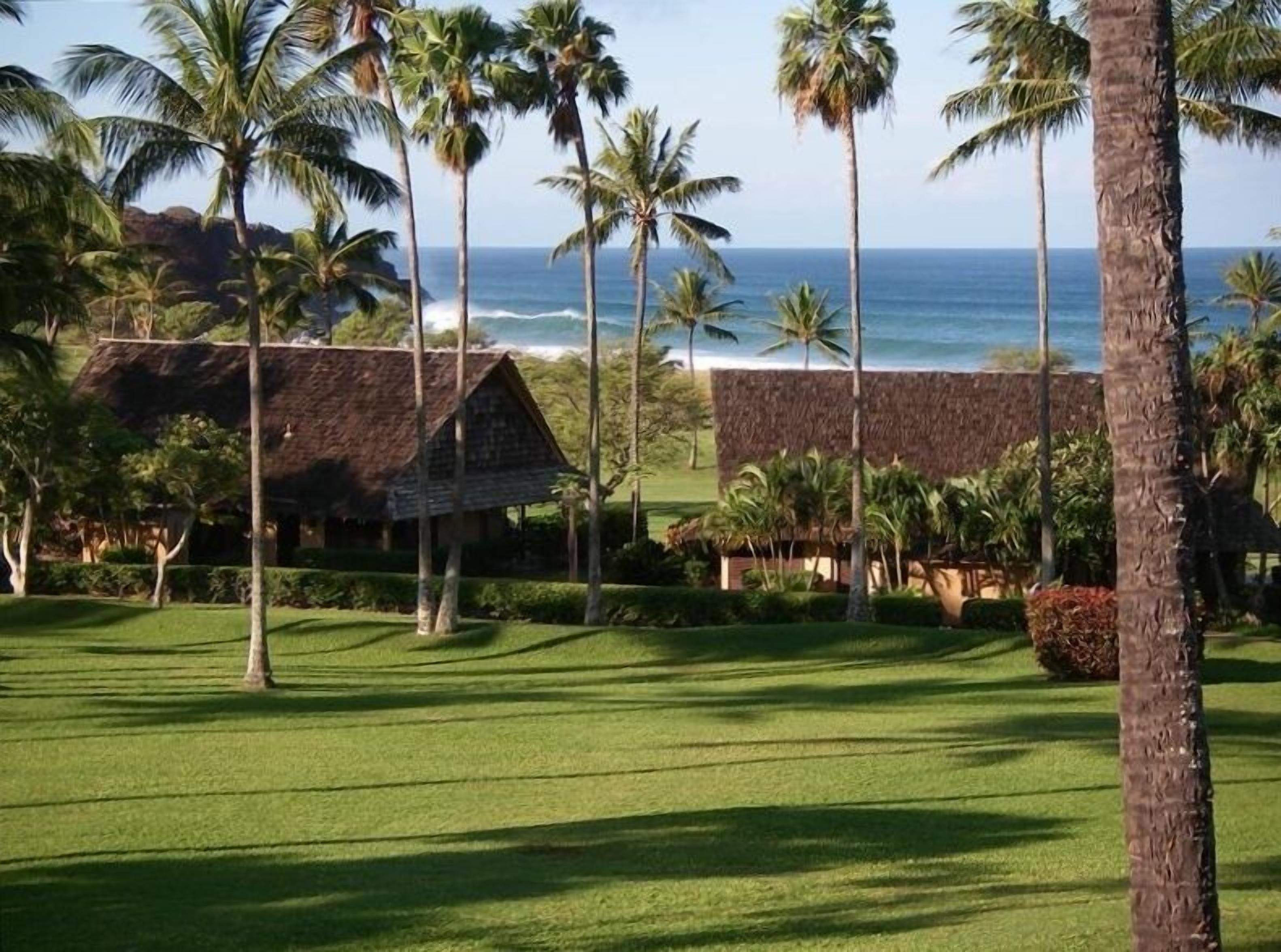 View from Lanai