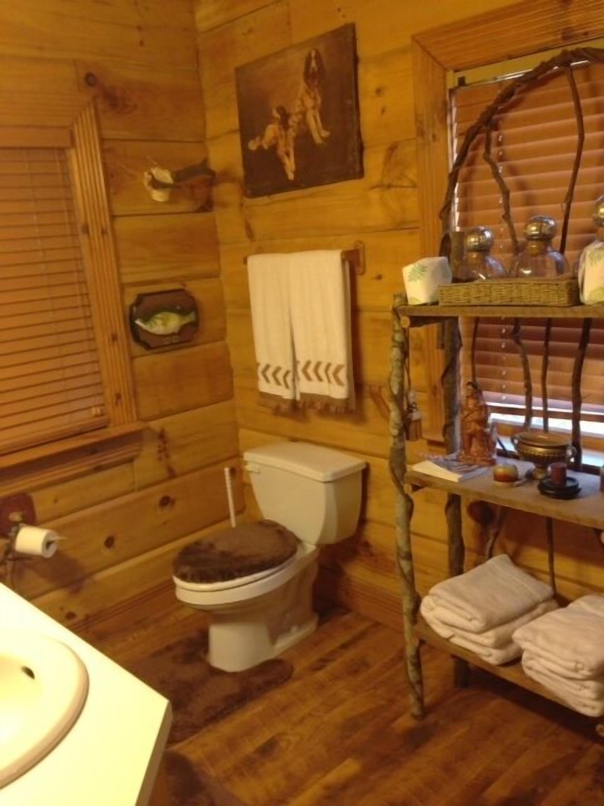 Luxury cabin in the Big South Fork Wilderness Resort