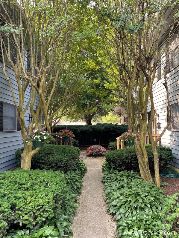 A garden pathway flanked by trees and shrubs, leading to a house with a covered porch.