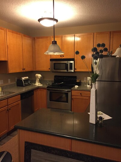 NCAA Final Four Condo 6 miles from US Bank Stadium