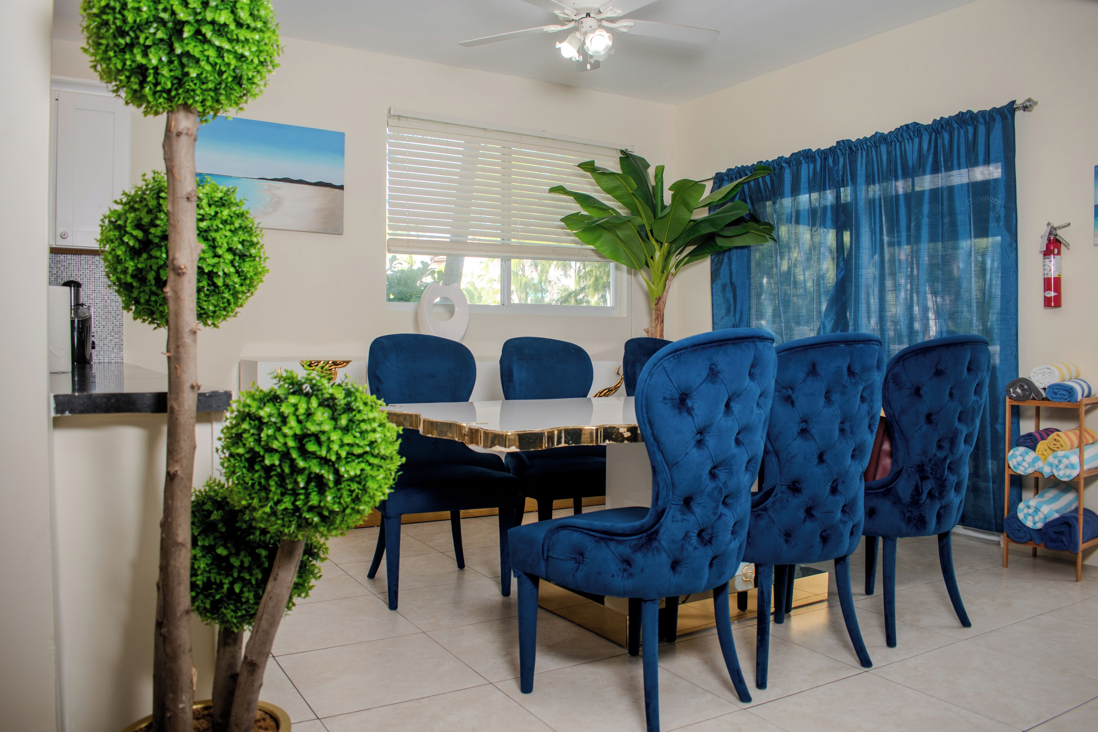A dining area with a round table, four blue upholstered chairs, a potted plant, and a view of the outdoors through a window with blinds.