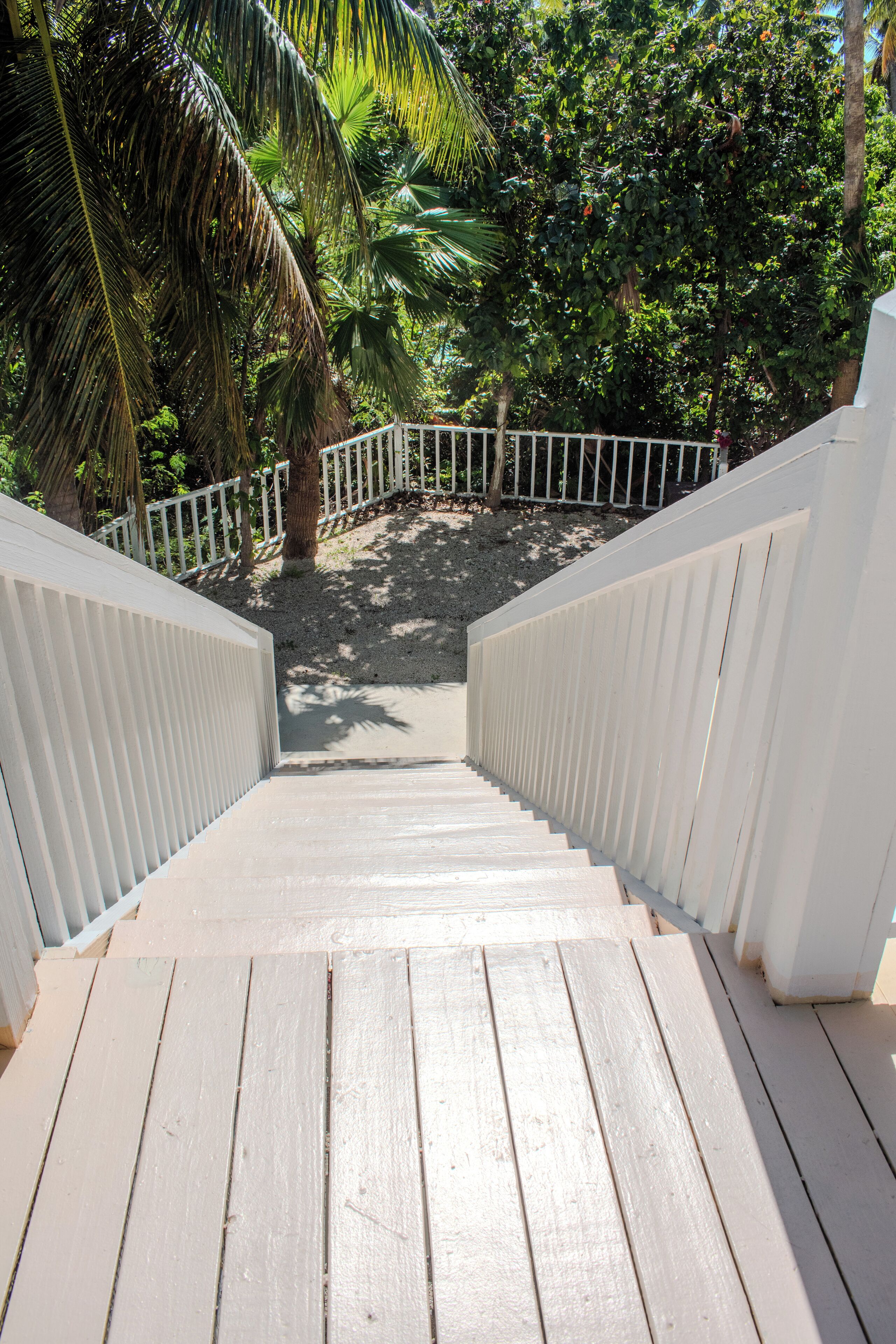 Un escalier en bois mène à un espace extérieur abrité, agrémenté de rampes blanches et de palmiers.