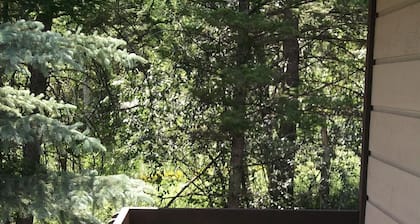 Fall special! Fun Great room, Hot tub,PoolTable, Foosball, wildlife