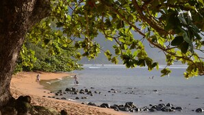 A beach with a tree in the foreground, rocky shoreline, and people in the water.