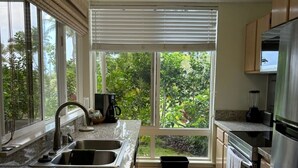 A modern kitchen with a granite countertop, stainless steel appliances, and a large window offering a view of lush greenery.