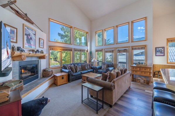 TV, fireplace, DVD player