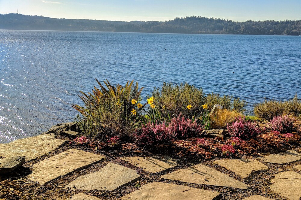 Rustic 1935 Walk-in Waterfront Cabin on Colvos Passage