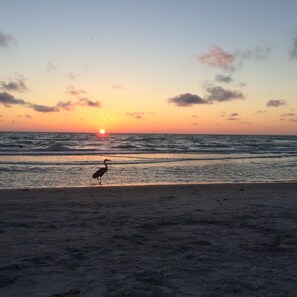 På stranden, solstolar och strandhanddukar