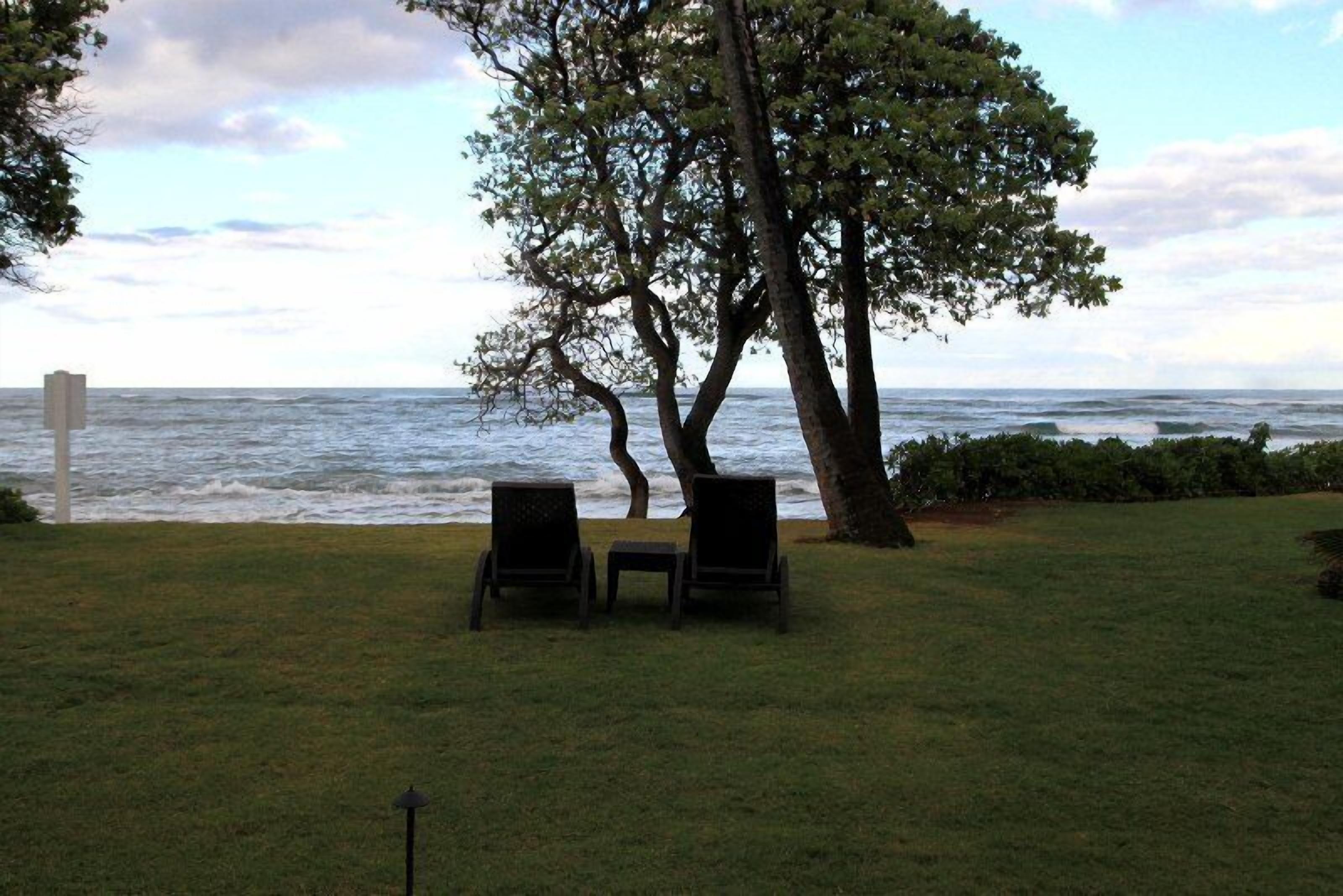 Ein Rasenstück mit zwei Stühlen und einem Tisch, einem großen Baum und Blick aufs Meer.