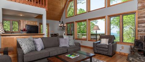 Smart TV, fireplace, books