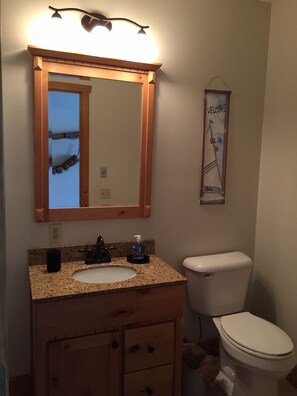 Bathroom features a vanity with a sink, mirror, and toilet, along with a wall-mounted light fixture.