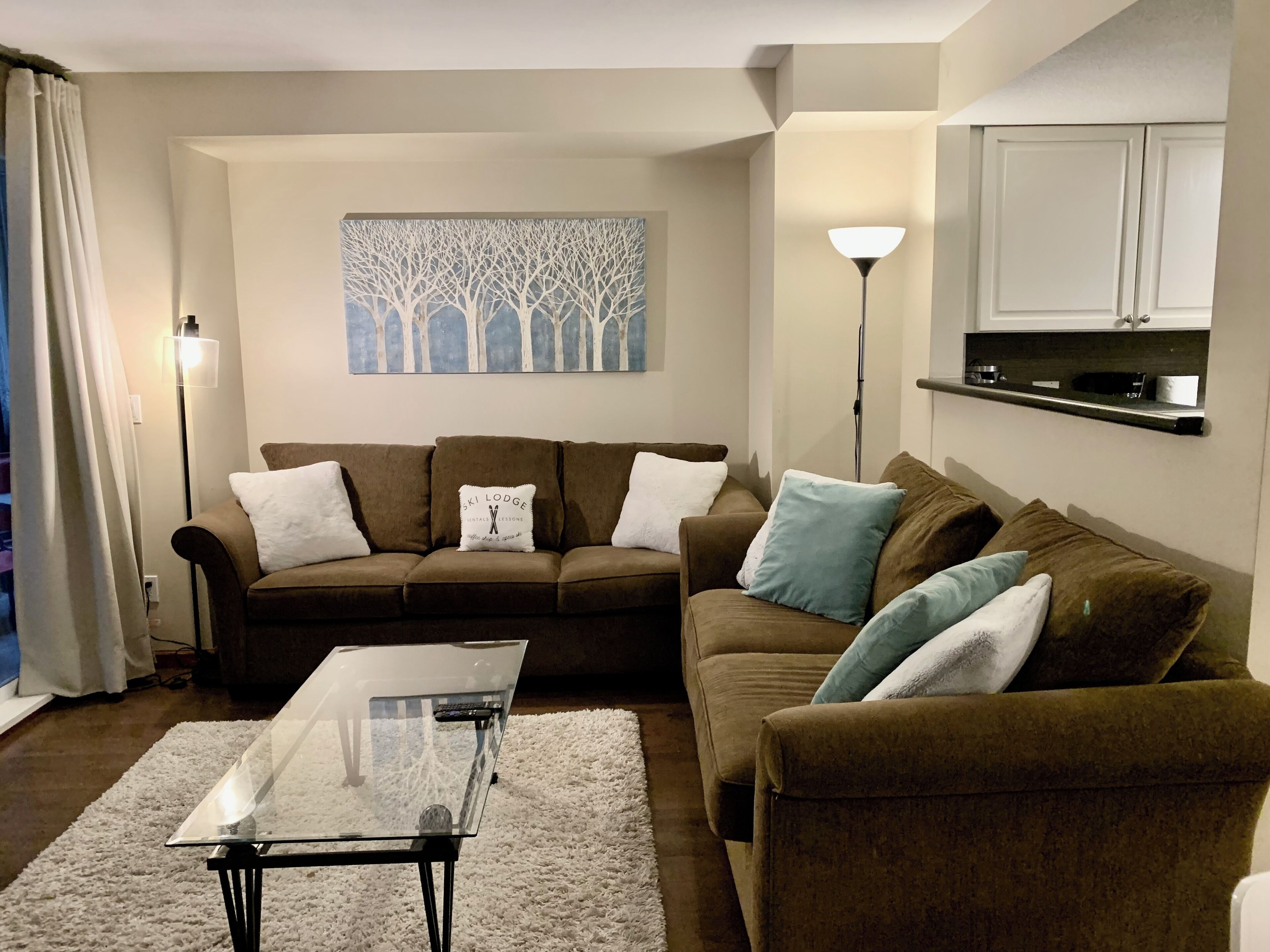 Whistler Village! 3 Bdrm+2.5 Bath+Private HotTub. Walk to everthing!