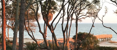A pathway leading to a beach with trees and a wooden structure.