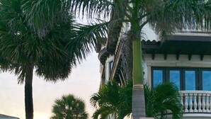 A paved pathway lined with palm trees and a 'No Parking' sign, leading to a building with a balcony. A 'Public Beach Access' sign is visible.