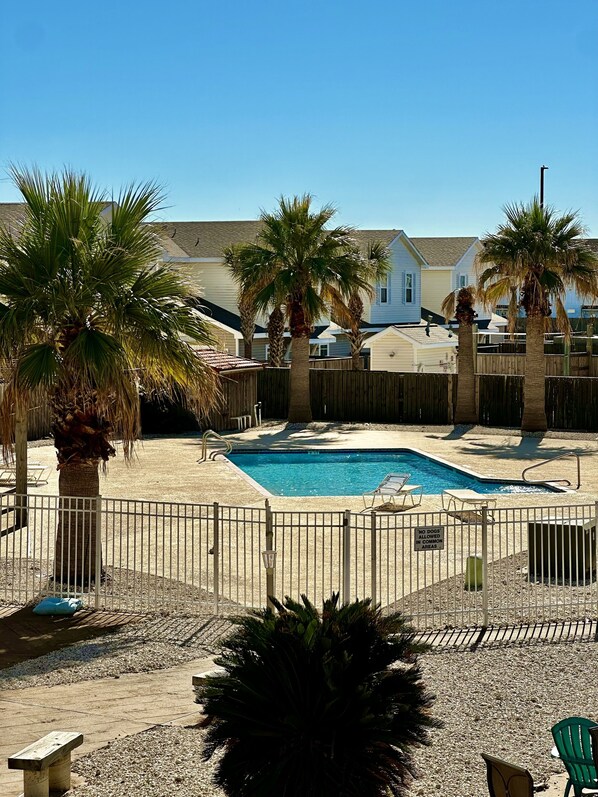 A swimming pool surrounded by palm trees and a wooden fence.