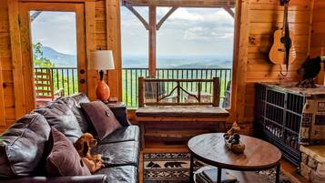 TV connectée, cheminée, jeux vidéo, lecteur de DVD