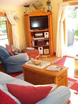 Älytelevisio, DVD-soitin, kirjoja, stereot