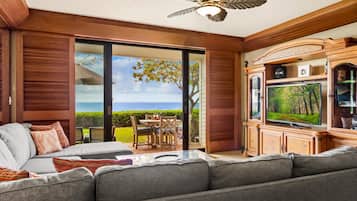 Smart TV, DVD player, books, video library