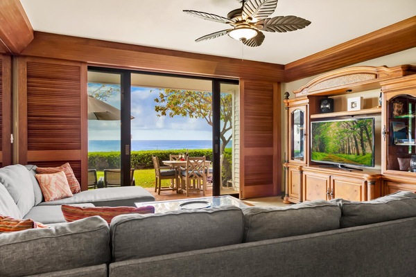 Smart TV, DVD player, books, video library