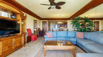 Smart TV, DVD player, books, video library