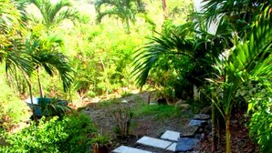 Un camí de pedra que serpenteja per un jardí exuberant, ple de plantes variades i palmeres.