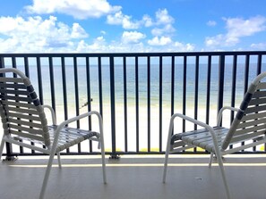 Property grounds - BEST BEACH DEALS! Ocean Front Gem! 75ft To Water 55"TV Heated Pool WiFi (Madeira Beach)