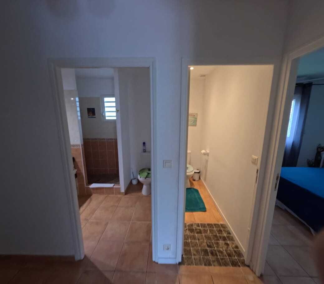 Pasillo que conduce a un baño con inodoro, lavamanos y zona de ducha.