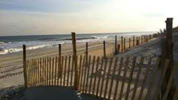 Vlak bij het strand