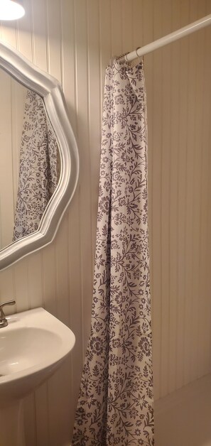 Bathtub, hair dryer, toilet paper