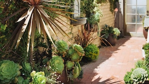 A brick pathway with potted plants and a wooden fence.