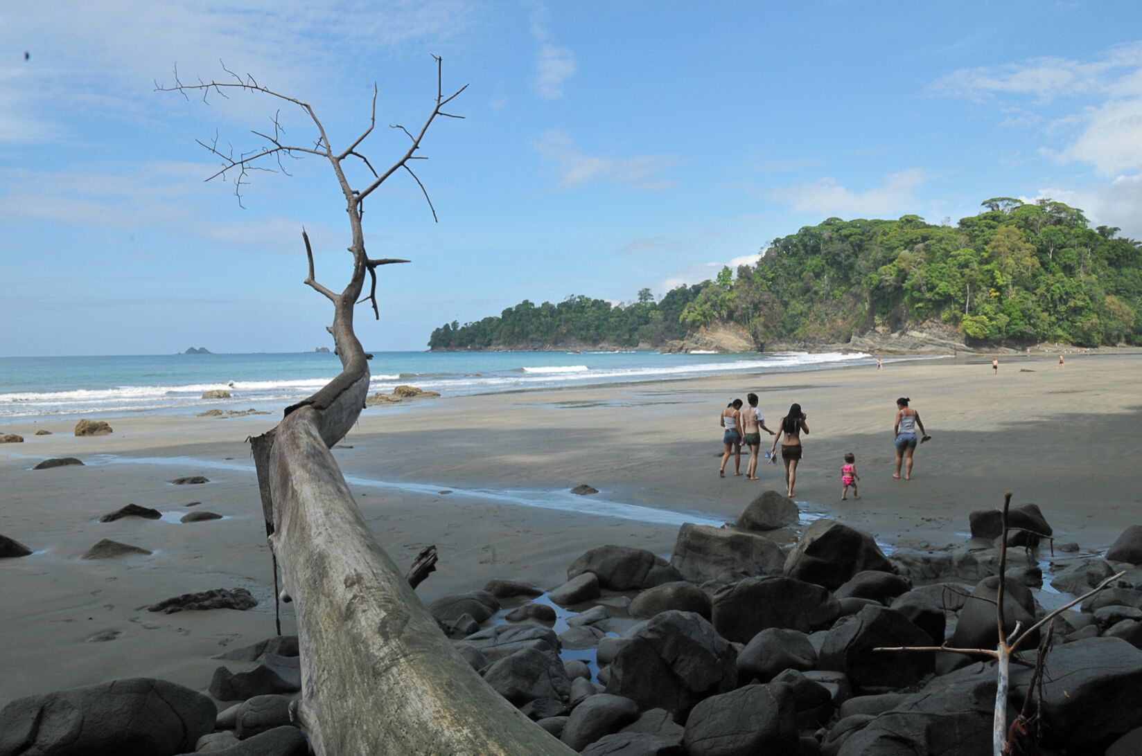 Una spiaggia con un grande albero caduto, uno sfondo roccioso e una collina boscosa sullo sfondo.