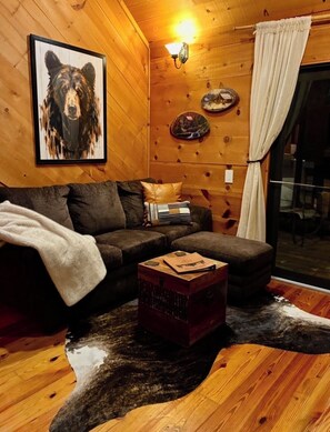 A cozy cabin interior with a wooden wall, a framed dog portrait, a light fixture, a glass door, and a rustic rug.